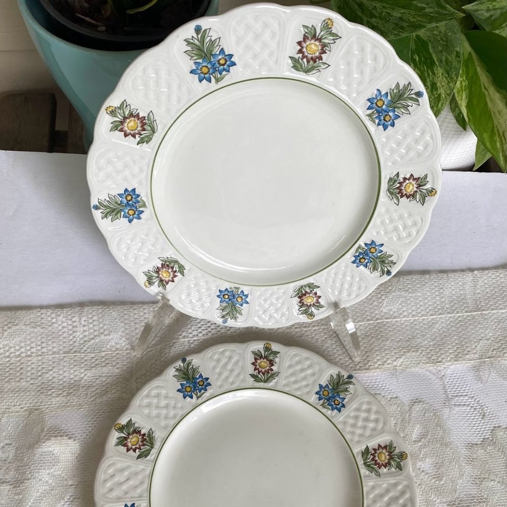 Vintage Royal Cauldon Bristol Ironstone "June Garden" Salad Plate - Set of 2